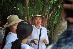 Green Day: Crunch plantation in Phu An