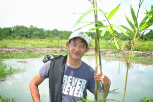 Crunch plantation in Vietnam 1