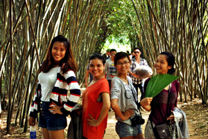 Green Day: Crunch plantation in Phu An in Vietnam