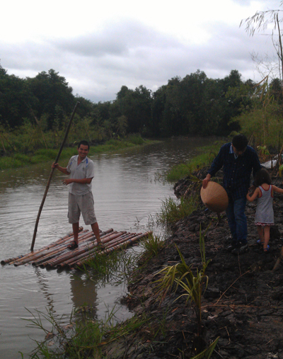 Green Day: Crunch plantation in Phu An in Vietnam